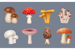 Mushroom realistic. Harvest forest plants chanterelle white Product Image 1
