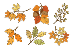 Vibrant Fall Foliage Collection Illustrated Branches Product Image 1