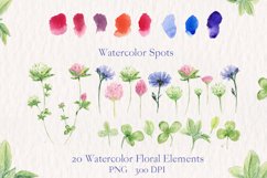 Watercolor collection of summer flowers Product Image 3