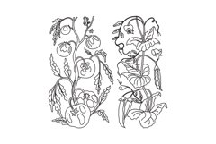 Line art Hand drawn growing tomato and peas plants isolated Product Image 1