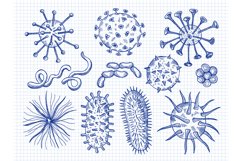 Sketch viruses. Covid bacteria microbiology cell danger biol Product Image 1