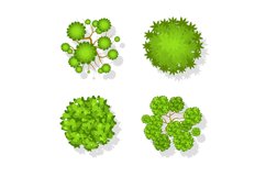 Trees and bushes top view. Landscape isolated elements, gree Product Image 1