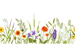 Wild meadow with flowers and herbs, spring botanical seamles Product Image 1