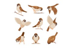 Cartoon sparrows. Wild funny animals flying brown birds movi Product Image 1