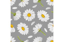 Camomile pattern. Decorative template for textile design wit Product Image 1