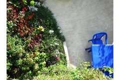 In the summer sunny blooming lush garden bright photo Product Image 1