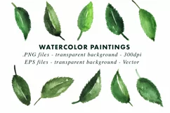 Watercolor Rose Leaves Illustration ClipArt PNG & EPS Vector Product Image 2