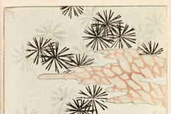 50 Vintage Japanese Ornamental Designs Images Bundle Product Image 7