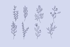 Hand-Draw With Herb And Flowers Collection Product Image 1