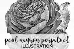 Rose Clipart Black and White - Floral Illustration Paul Neyr Product Image 1