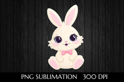 Charming Easter Bunny Product Image 1