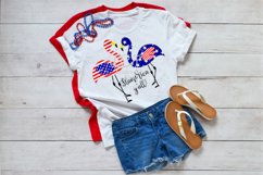 Flamerica Y&#039;all//Flamingo//Summer//SVG//DXF//EPS Product Image 1