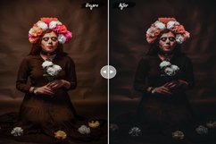 Halloween Lightroom Presets Product Image 2