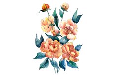 Bouquet of flowers Dimeter orange watercolor png Product Image 1