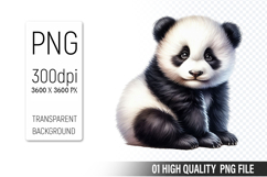 Cute Panda, Animal Sublimation Clipart PNG Product Image 1
