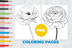 Ranunculus flower Coloring Pages | Coloring book Product Image 1