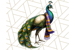 Peacock Christmas Clipart in Jewel Tones, Christmas Png Product Image 2