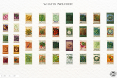 Autumn Vegetable Seeds Packet Clipart Product Image 4