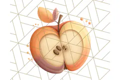 Woodland Apple Orchard Festival PNG Fall Clipart Product Image 2