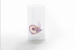 Nautilus Shell Marine Animal Spiral Tentacle PNG Summer Product Image 3