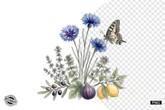 Summer Wildflowers &amp; Bird &amp; Insect Clipart - Houseplant PNG Product Image 1