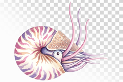 Nautilus Shell Marine Animal Spiral Tentacle PNG Summer Product Image 1