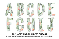 Baby Shower Watercolor Alphabet and Numbers Clipart PNG Product Image 2