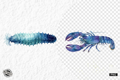 Watercolor Sea Life PNG Clipart Product Image 1