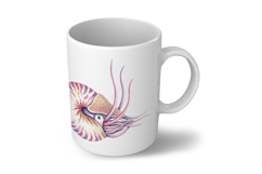 Nautilus Shell Marine Animal Spiral Tentacle PNG Summer Product Image 6