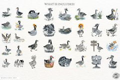 Summer Goose Lake Clipart Product Image 4