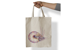Nautilus Shell Marine Animal Spiral Tentacle PNG Summer Product Image 7