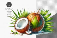 Coconut clipart, Holiday clipart, Summer clipart Product Image 1