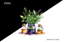 Watercolor bottle and herbs clipart Product Image 1