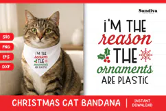 Christmas Cat Bandana Quotes SVG | Ornaments Are Plastic Product Image 1