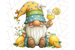 Summer Garden Gnomes Clipart PNG, Summer Country Gnomes Png Product Image 2