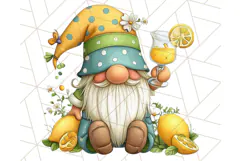 Summer Garden Gnomes Clipart PNG, Summer Country Gnomes Png Product Image 2