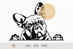 French bulldog svg, Frenchie svg, Dog svg Product Image 1
