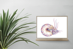 Nautilus Shell Marine Animal Spiral Tentacle PNG Summer Product Image 2