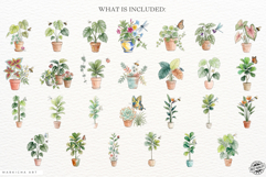 Summer Housplants Clipart Product Image 4