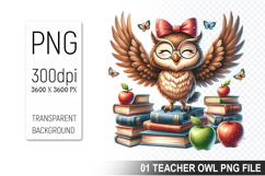 Teacher Owl Clipart PNG, Cute Owl, Digital Download File Product Image 1
