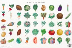 Root Vegetables Clipart Product Image 4