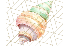 Natural Seashell Clipart PNG, Summer Nautical Beach Shell Product Image 2
