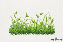 Watercolor Grass Borders Clipart PNG Product Image 1