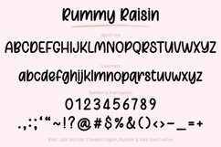 Rummy Raisin - Handwritten Font Product Image 22