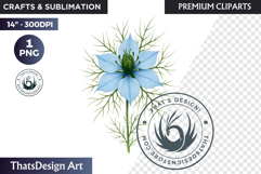 Flower Clipart PNG, Botanical Illustration Floral graphic Product Image 1