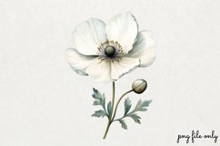 Wild flowers butterflies and dragonfly Clipart PNG Product Image 1