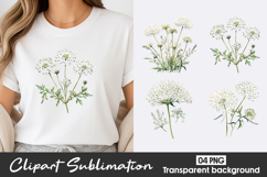 White Floral Watercolor Clipart PNG Product Image 1