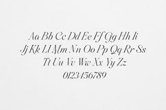 Sweetform - Serif &amp; Sans Font Duo Product Image 22