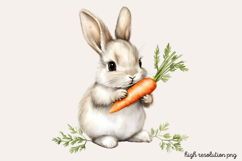 Carrot Watercolor Clipart PNG Product Image 1