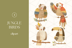 Jungle Birds Clipart PNG Product Image 1